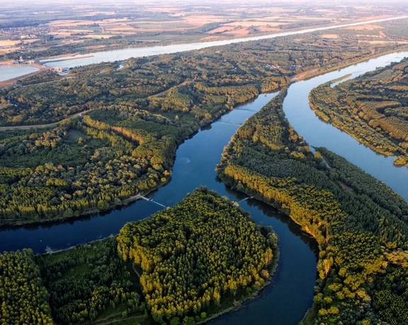 Aerial panorama of winding river channels surrounded by forest and farmland.