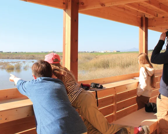 A group of people observe wildlife from a wooden lookout, pointing and using binoculars over a serene wetland landscape.