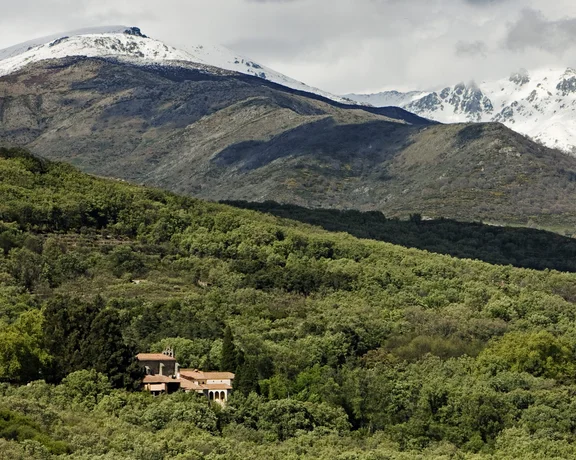 Historical monastery nestled among green forests with snow-capped mountains in the background.