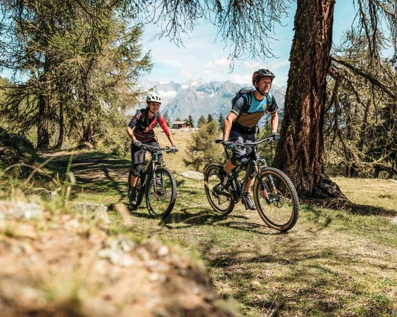 Two mountain bikers ride through an alpine forest trail with scenic views of distant snow-capped peaks under a clear blue sky.