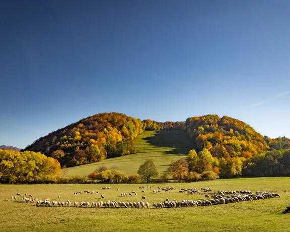 Panoramic aerial view of the Starina water reservoir, nestled among lush green forests and hills in eastern Slovakia.