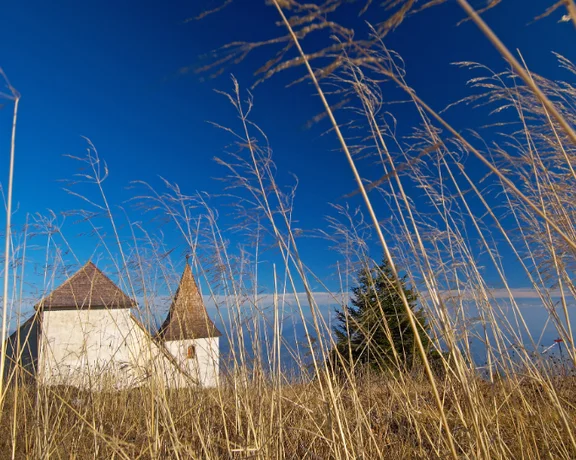 A rustic church with pointed roofs nestled among tall, golden grasses under a bright blue sky.