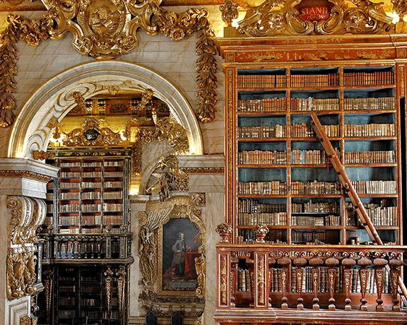 Intricately decorated library with ornate architecture, filled with shelves of antique books and an elegant, historical ambiance.