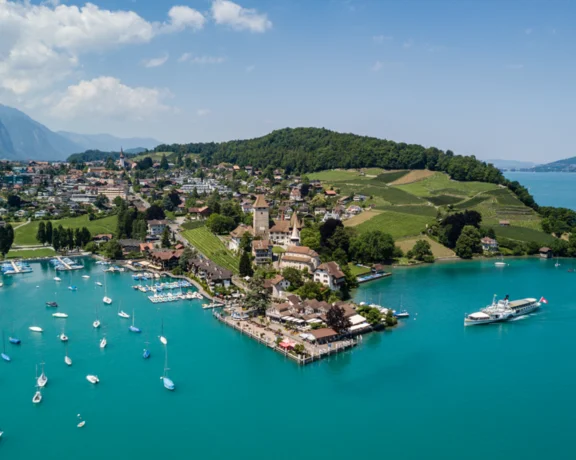Aerial view of a picturesque lakeside village with boats, vineyards, and mountains under a blue sky with scattered clouds.