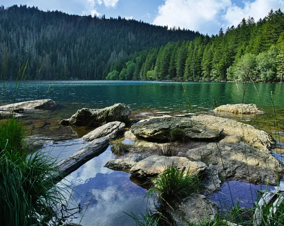 View of the glacial Black Lake in Šumava National Park, Czechia, with clear water, rocky shore, and dense pine forest reflecting in the lake.