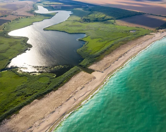 Aerial view of a river flowing into the sea, bordered by greenery.
