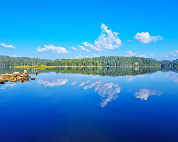 Calm forest lake with clouds reflected on the water surface.