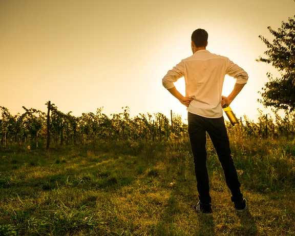 Back view of a man holding a wine bottle, gazing at a vineyard during golden sunset.