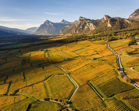 Aerial view of Bündner Herrschaft vineyards in Switzerland, framed by Alpine mountains and valleys.