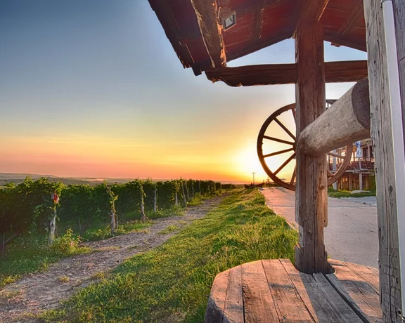 A rustic wooden structure with a wheel overlooks a vineyard at sunset, casting warm hues across the sky and lush grapevines.