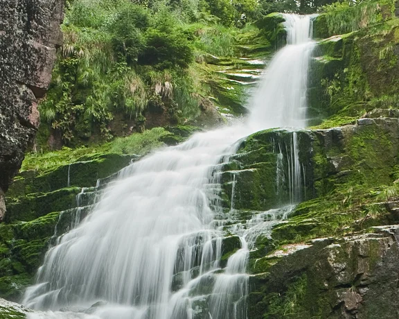 Cascading waterfall flowing over mossy rocks surrounded by lush greenery.