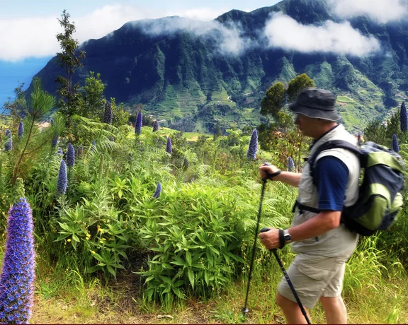Hiker with backpack walking through lush green mountains and purple wildflowers.