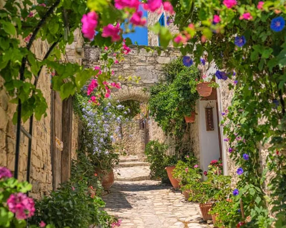 Stone pathway lined with potted flowers and vines under a sunny sky.