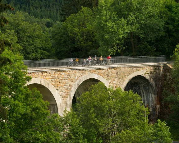 Cyclists crossing a stone arch bridge surrounded by lush green trees.