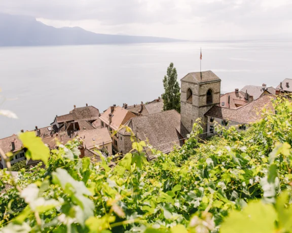 Vineyard overlooking a village with stone rooftops beside a lake.