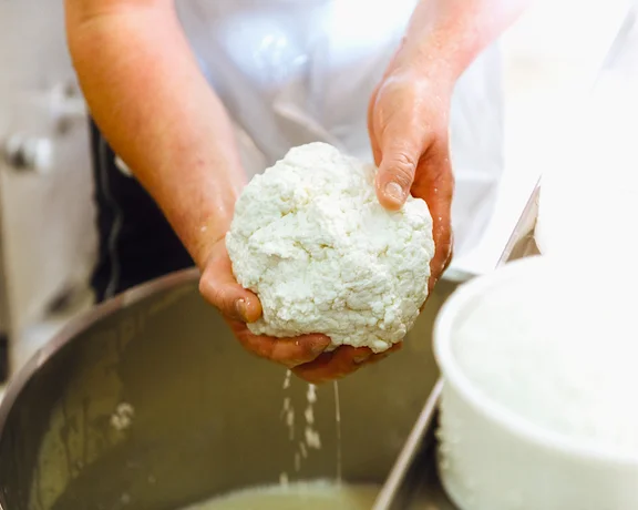 Hands holding fresh ricotta cheese over a metal bowl, liquid dripping down.