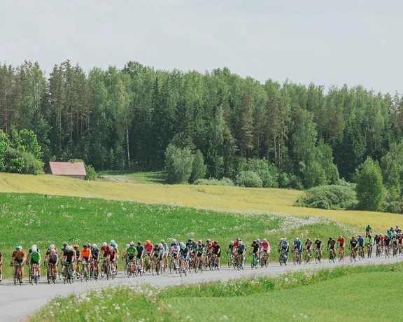 Cyclists riding on a rural road with green fields and trees in the background.