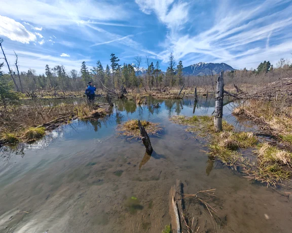 Man standing by a reflective marsh with scattered trees under a blue sky with streaky clouds.