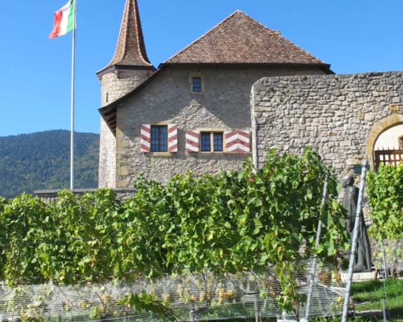Castle with stone walls and vineyard, Swiss flag flying, under a clear blue sky.