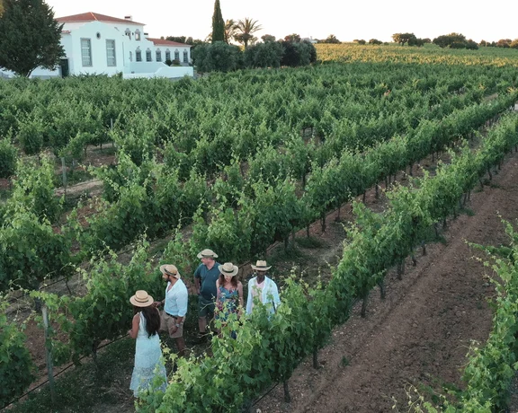 Five people walking through rows of grapevines at a vineyard with a white building nearby.