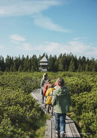 Children and an adult walk on a wooden path toward a forest lookout tower on a sunny day.