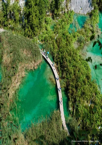 Curved wooden walkway over turquoise water surrounded by lush greenery.