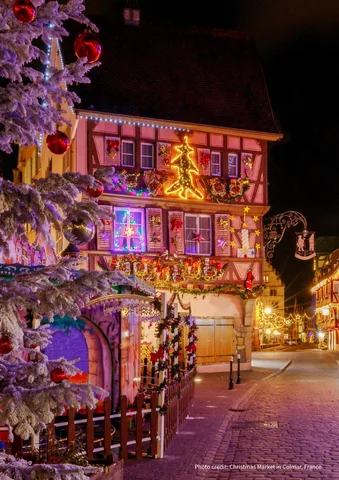 Festively decorated street with colorful lights, a Christmas tree, and a snowy tree branch.