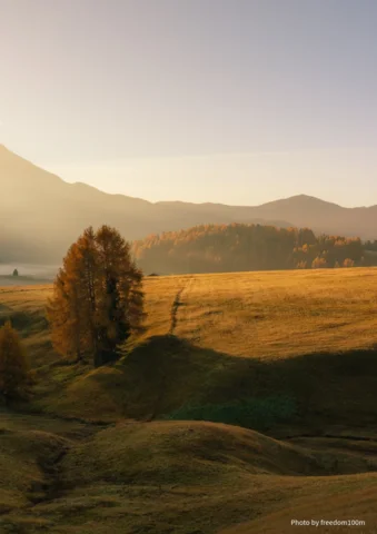 Golden fields and autumn trees with distant hills in soft morning light.