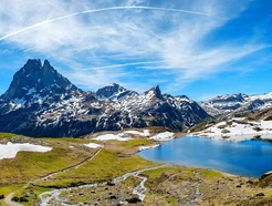 Nature-Banner