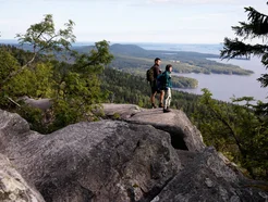 Panoramic view from the summit of Koli in Finland: rocky hills, dense forest, and Lake Pielinen stretching into the distance under a clear sky.