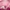 Pink Soup Fest. 2023. Ahoy. Partners (55)