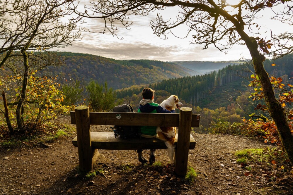 Take time to soak up the view when you walking around Lake Nisramont