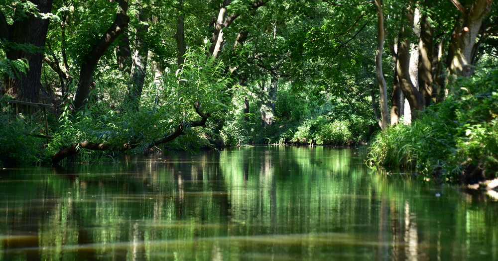 A serene river scene with lush green trees reflecting on calm waters, creating a tranquil and inviting natural landscape.