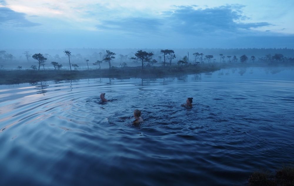 Three people swim in a misty blue lake surrounded by silhouettes of trees, evoking a serene and tranquil atmosphere at dawn.