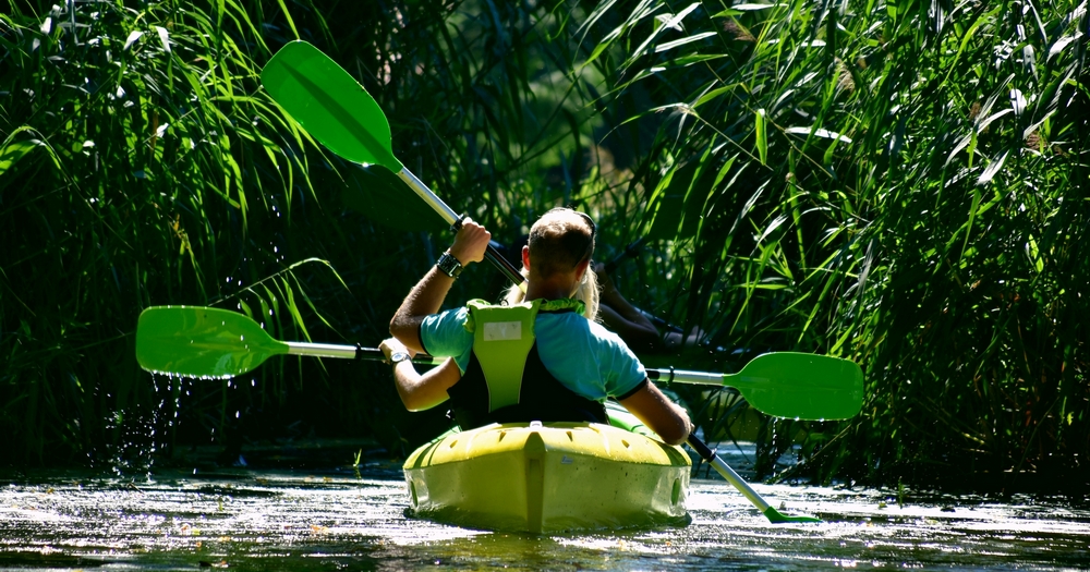 A kayaker paddles through a lush, green river surrounded by tall reeds, enjoying a sunny day outdoors.