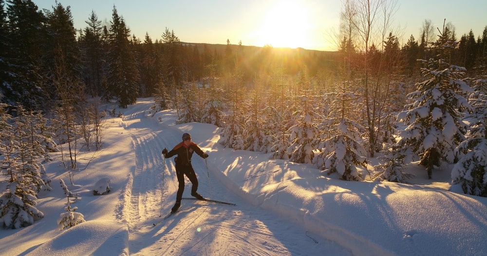 Create terrific memories cross-country skiing in Polish winter landscape.