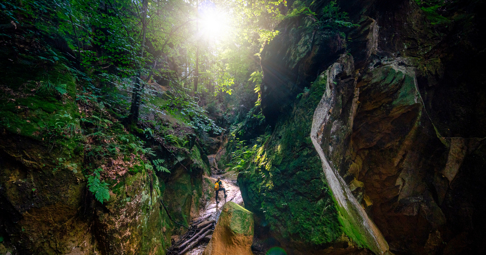 A narrow, sunlit canyon with moss-covered rocks and lush greenery, featuring a hiker walking along a rocky path.