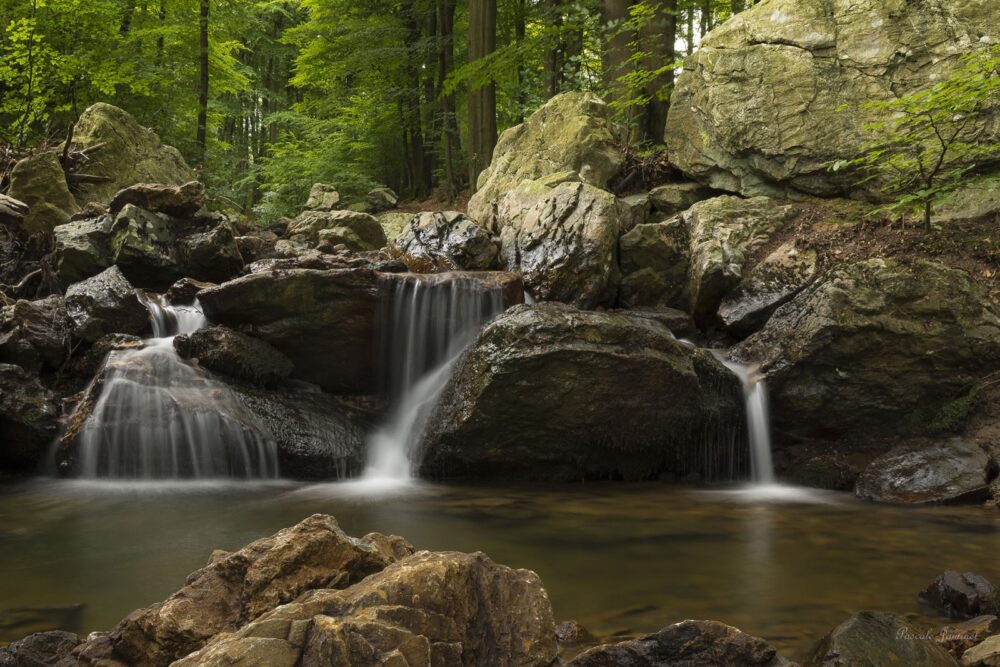 Parc naturel des Sources, Belgium, © Pascale Ramakers Pascale Jaminet