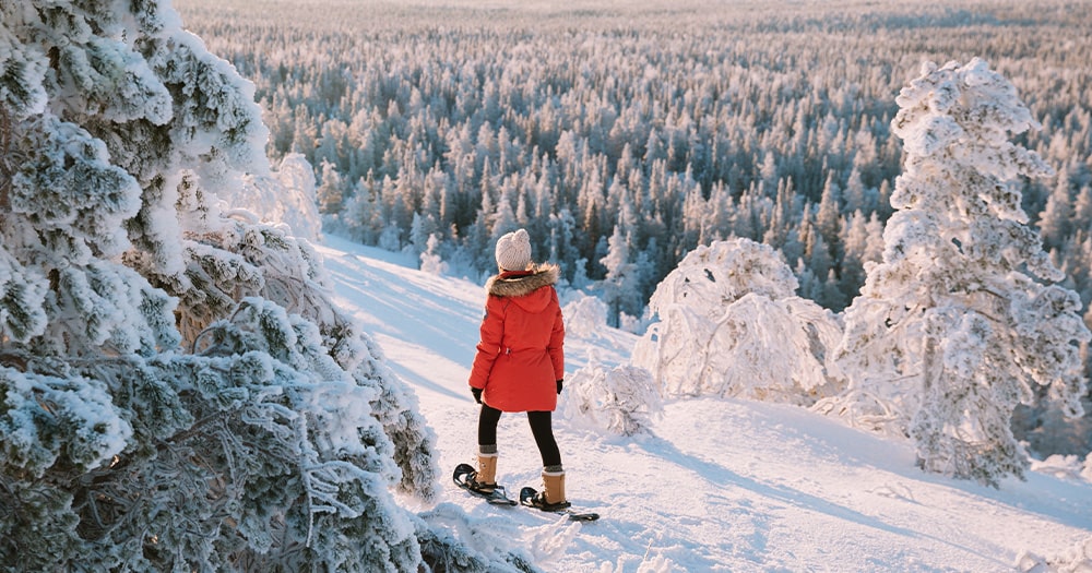 Immerse yourself in breathtaking Finnish scenery on your snowshoe adventure through one of Finland’s 41 national parks.