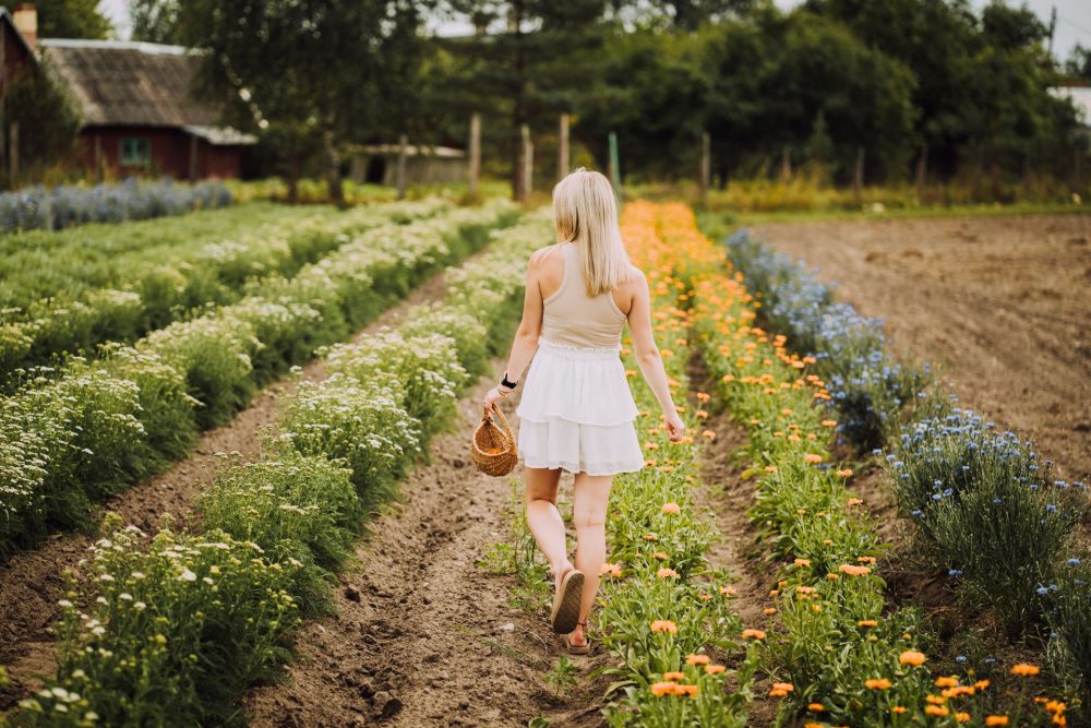 A woman in a white dress walks through a vibrant flower field with orange and blue blooms, carrying a woven basket.