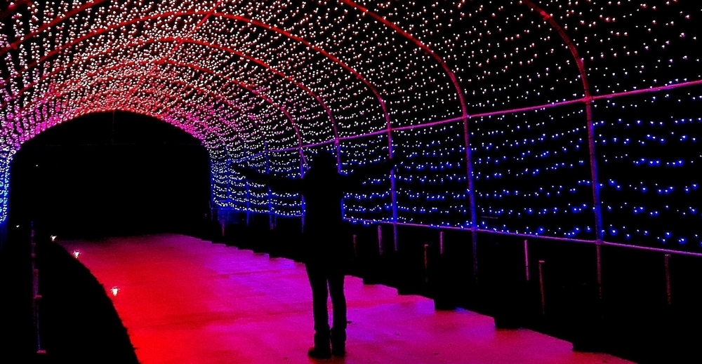 Person standing under a tunnel of pink and blue lights at night, at the Volčji potok Arboretum in Slovenia.