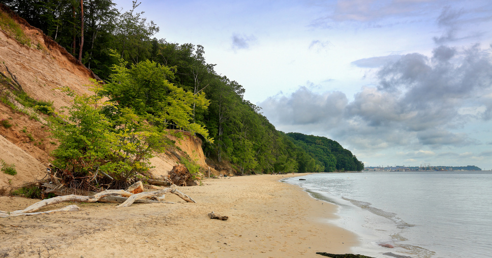 Serene beach scene with sandy shore, lush green trees, and a cloudy sky reflecting over calm water, showcasing a peaceful natural landscape.