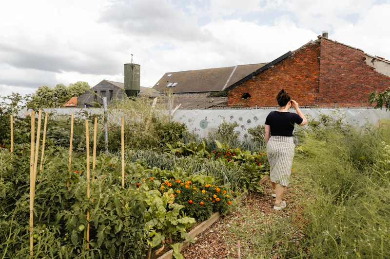 A woman walking through a lush vegetable garden filled with tomato plants, leafy greens, and marigolds, with rustic farm buildings in the background.
