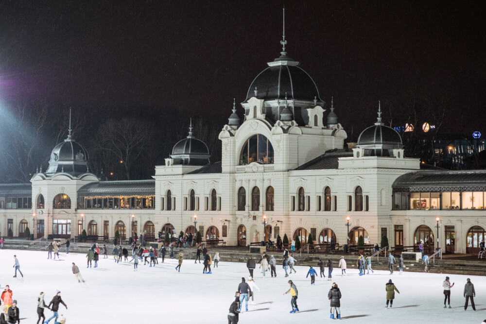 Skate under the stars at the beautiful City Park ice skating rink.