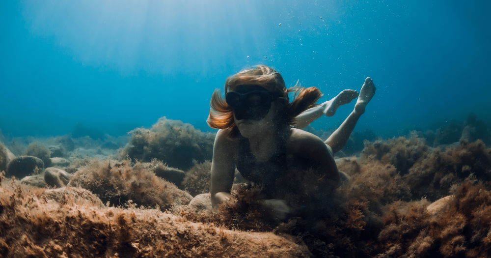 水中の生物を発見するダイバー 