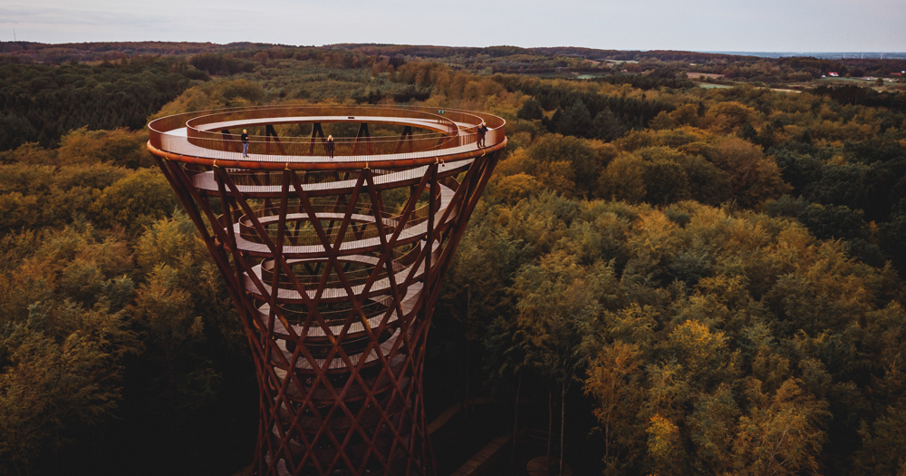 Climb up the Forest Tower to an exhilarating view at Camp Adventure