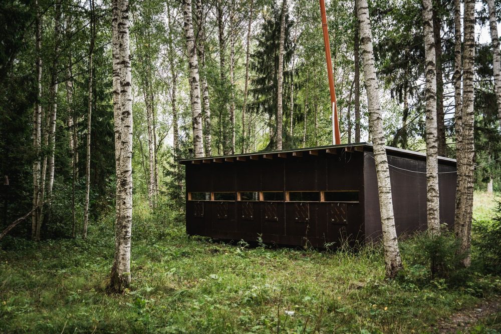 A small dark wooden structure is nestled among tall birch and conifer trees in a lush, green forest setting.