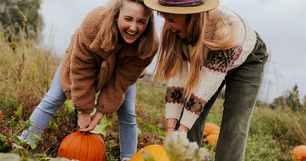 Two women harvesting pumpkins in a field in Styria, Austria, enjoying autumn farm traditions.