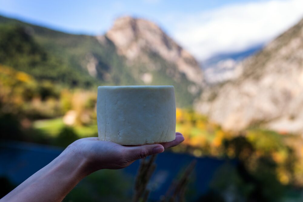 Taste one of the 40 varieties of Asturian cheese