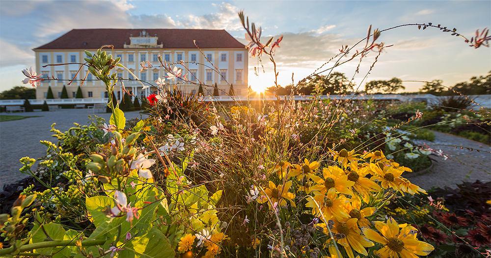 A vibrant, sunset-lit flower garden with yellow and pink blossoms in the foreground, with the pale yellow Baroque palace of Schloss Hof visible in the background.